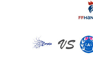 - 17 ANS M se déplace à PLESSIS-TREVISE