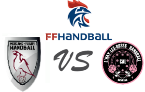 LOISIR se déplace à MORSANG FLEURY HANDBALL