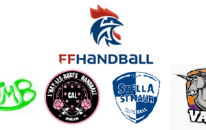 DELAYAGE - 11 ans MASCULIN  Poule A