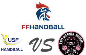 SENIOR 2 MASCULIN se déplace chez UNION SPORTIVE FONTENAYSIENNE HANDBALL