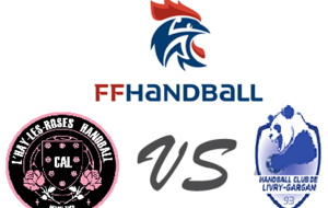 SENIOR  reçoit HBC LIVRY-GARGAN 1B