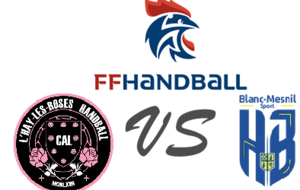 - 13 ans MASCULIN reçoit BLANC-MESNIL HB