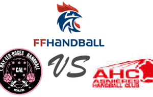 SENIOR MASCULIN 1 reçoit ASNIERES HBC