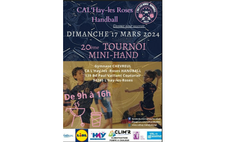 20 ème TOURNOI MINIHAND DE L'HAY-LES-ROSES